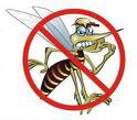 Dengue dengue